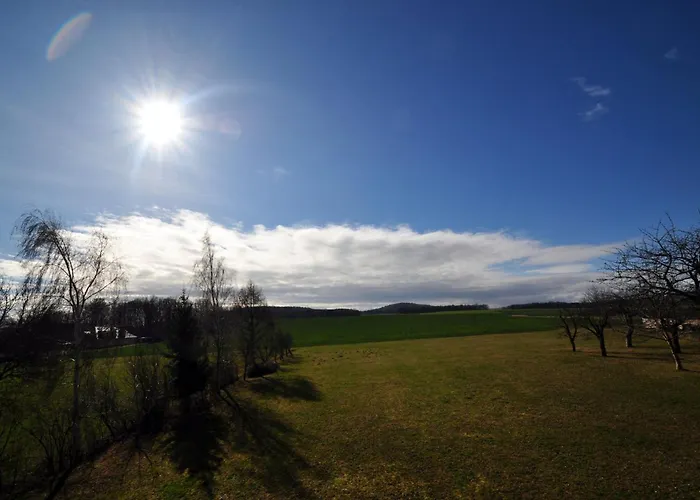 Sonnenblume 2 * Pfaffendorf (Markersdorf)