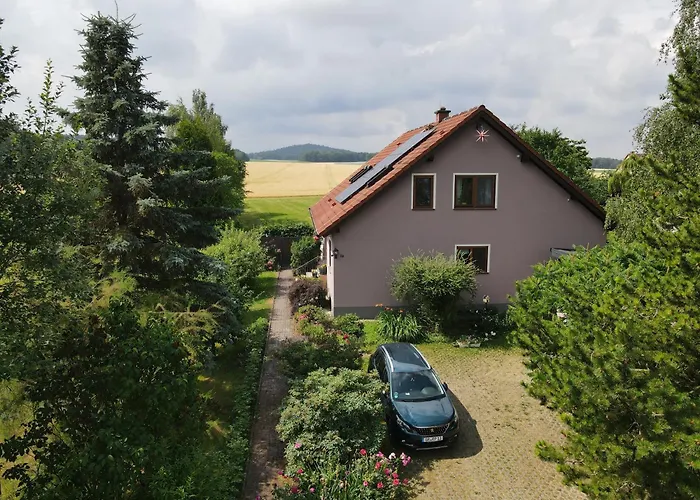 Sonnenblume 2 * Pfaffendorf (Markersdorf)